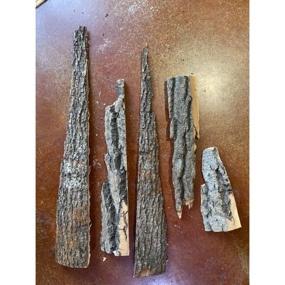 Basswood Rustic Bark Edge Wood Slabs For Crafts & DIY Projects - Picture 2 of 11